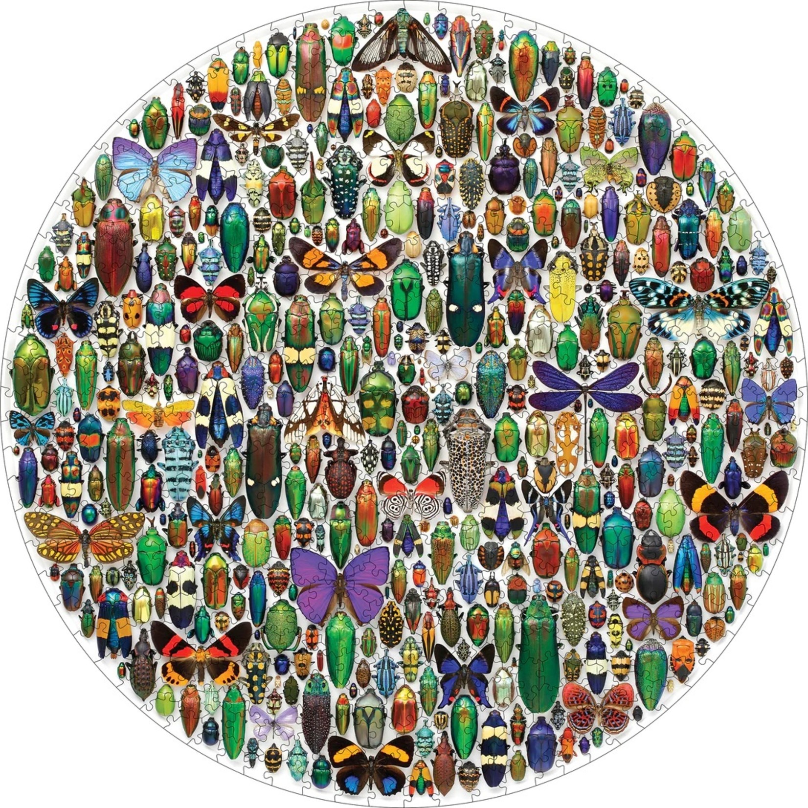 Christopher Marley: Macrocosm Circular 500pc