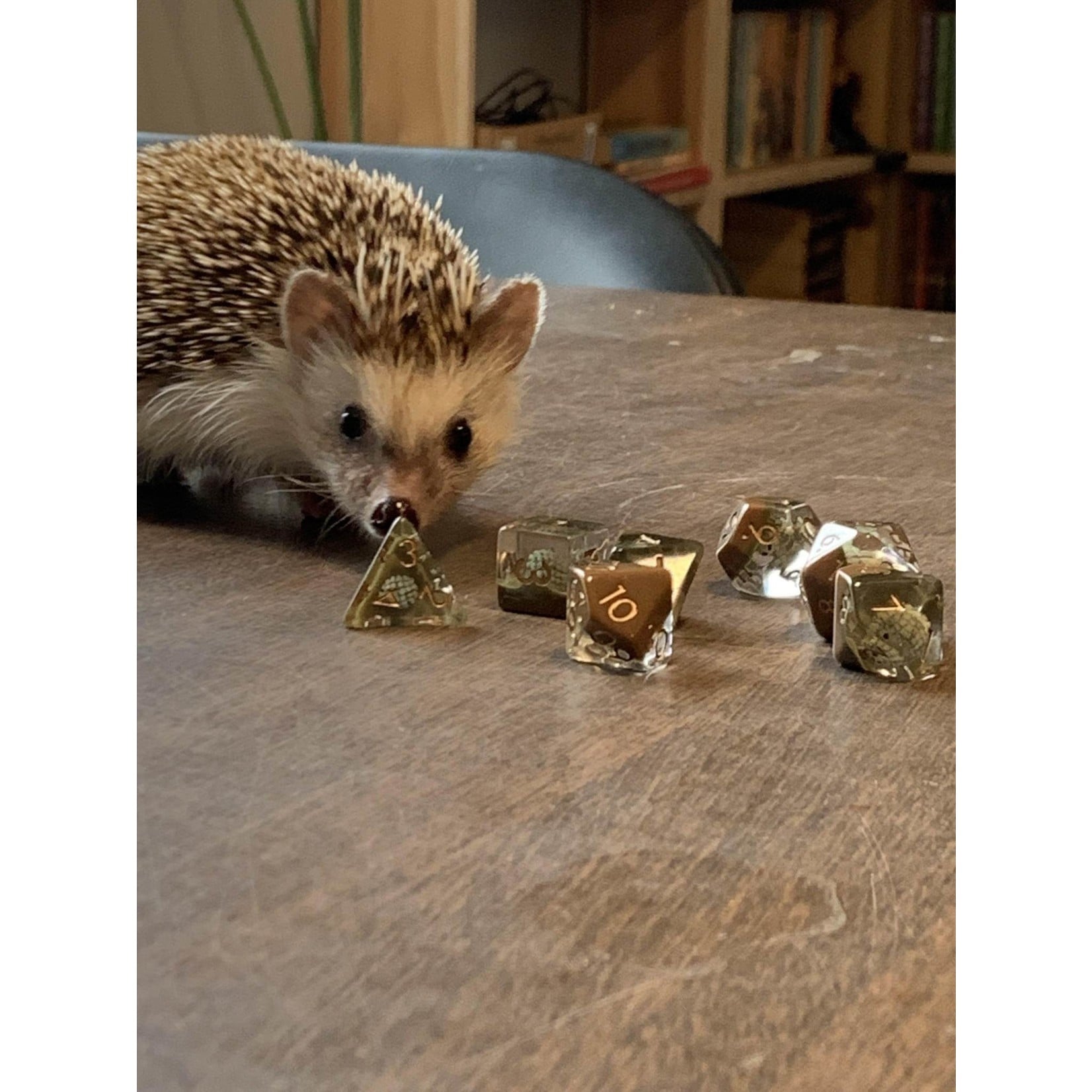 Foam Brain Games Hedgehog 7-Set