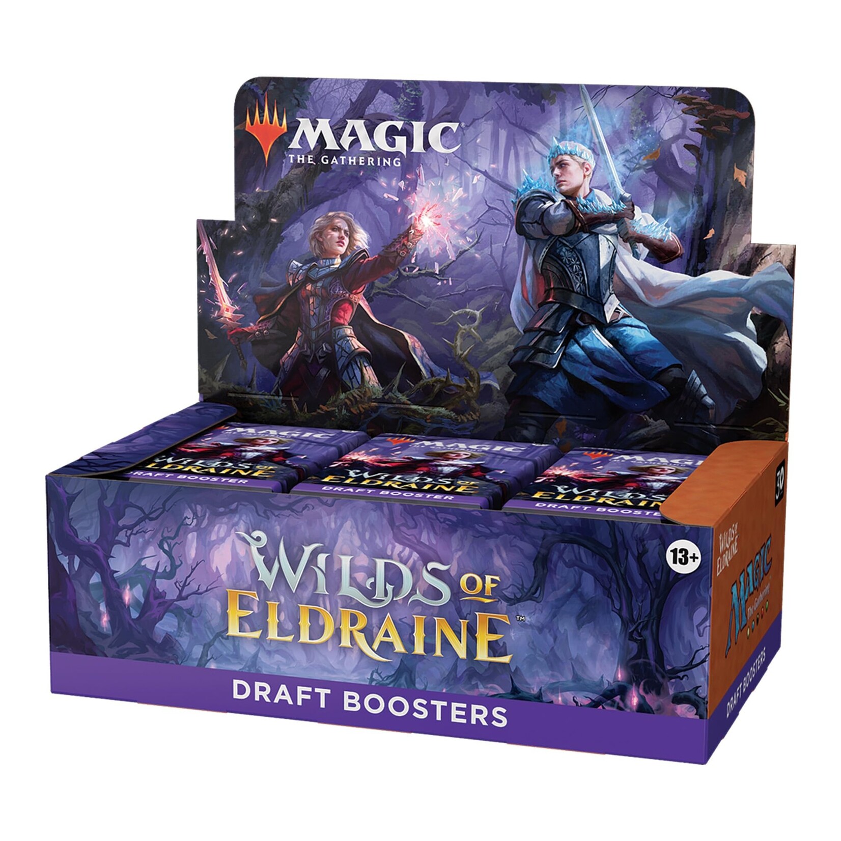 Wizards of the Coast Wilds of Eldraine Draft Booster Display