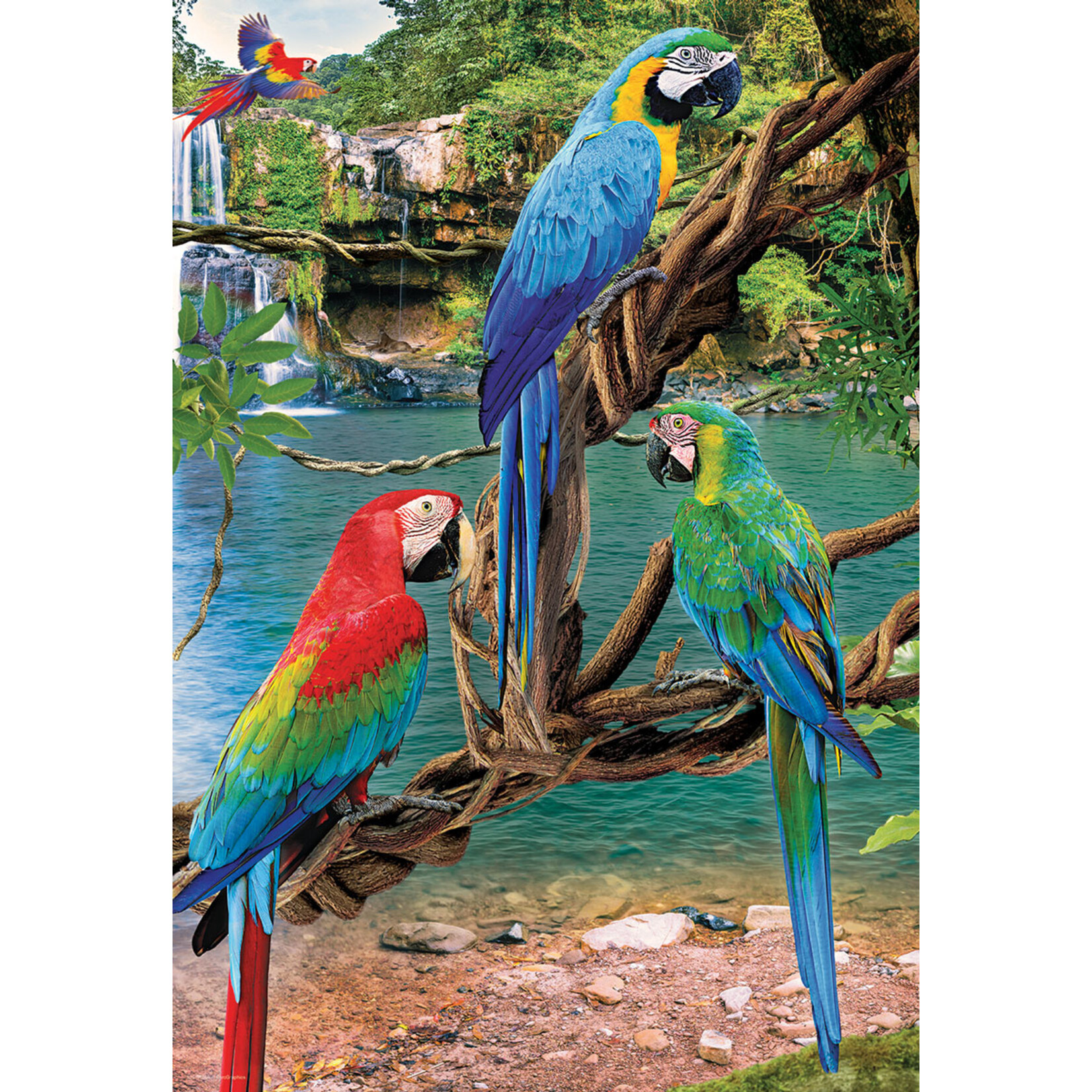 EuroGraphics Puzzles Macaws 250pc