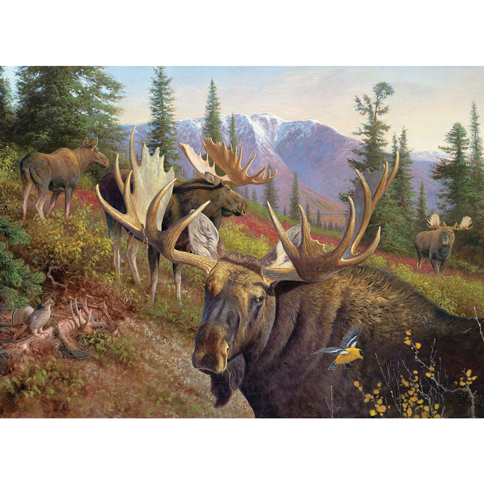 EuroGraphics Puzzles The Gathering 1000pc