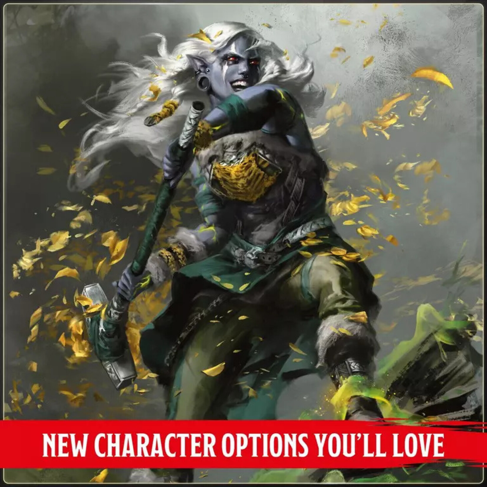 Wizards of the Coast D&D 5th Ed 2024 Player's Handbook