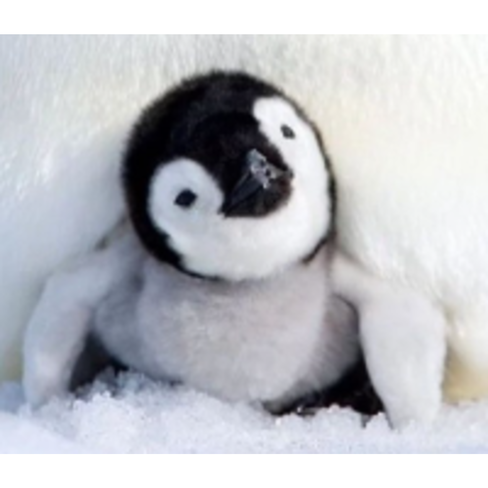Foam Brain Games Baby Penguin 7-Set