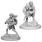 WizKids/Neca Nolzur's Drow