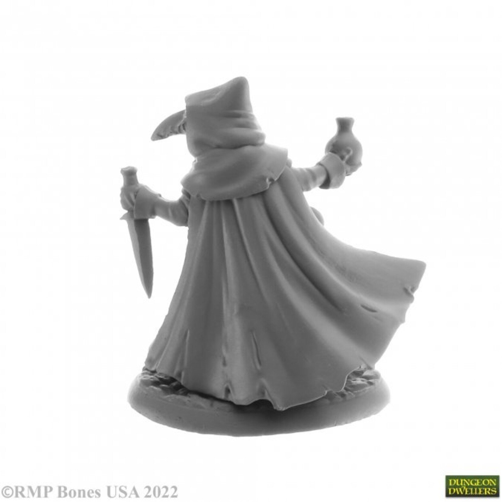 Reaper Minis 07017 Dungeon Dwellers: Sister Hazel, Plague Doctor