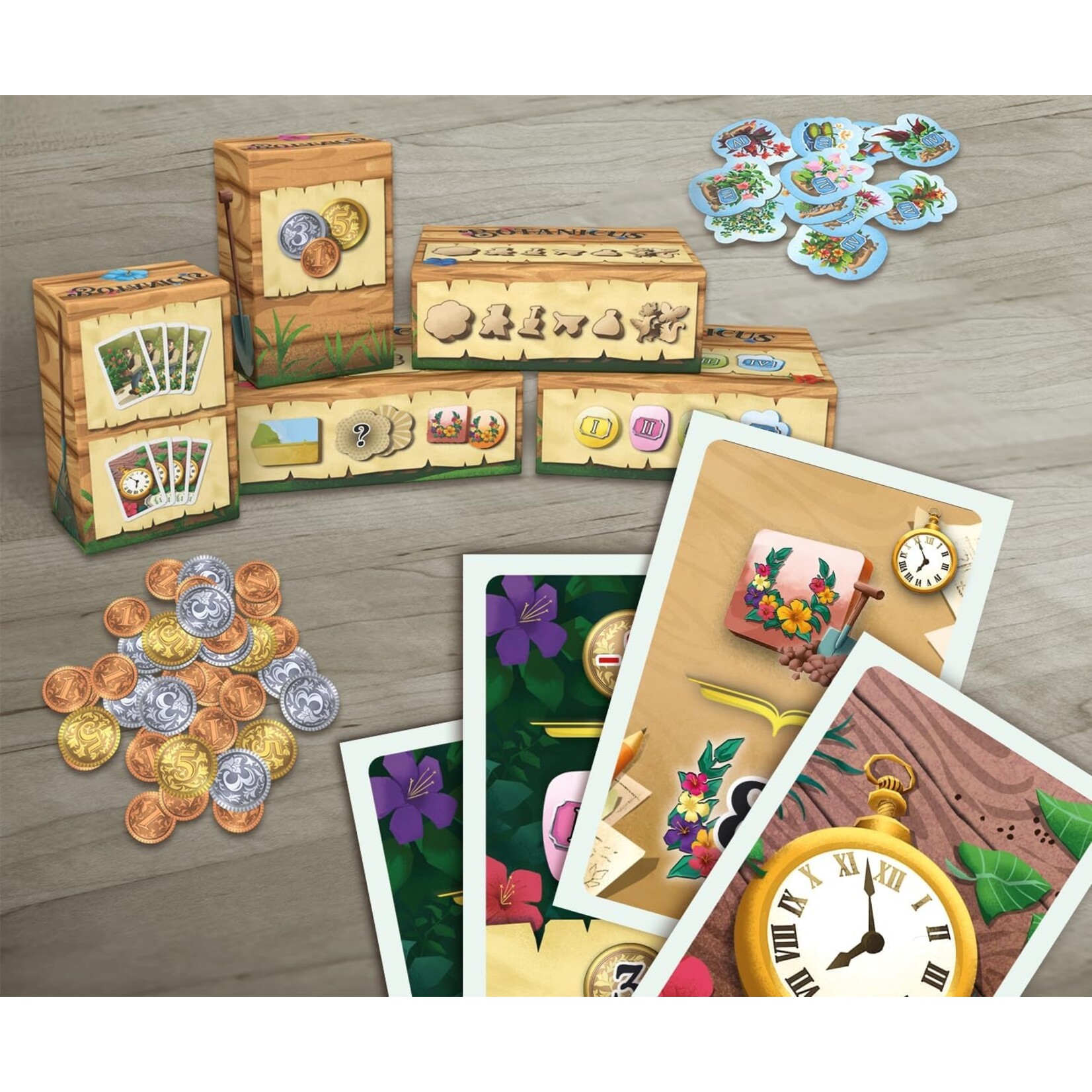 Z-Man Games Botanicus