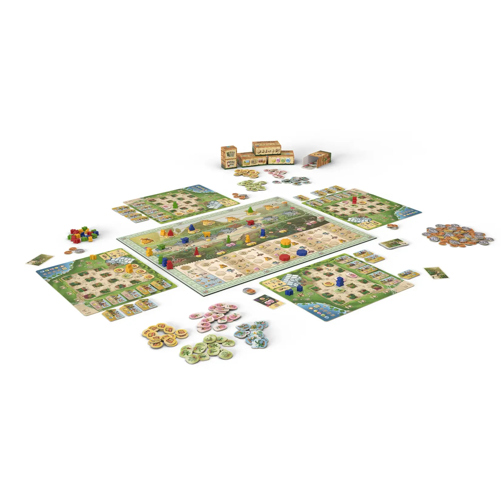 Z-Man Games Botanicus