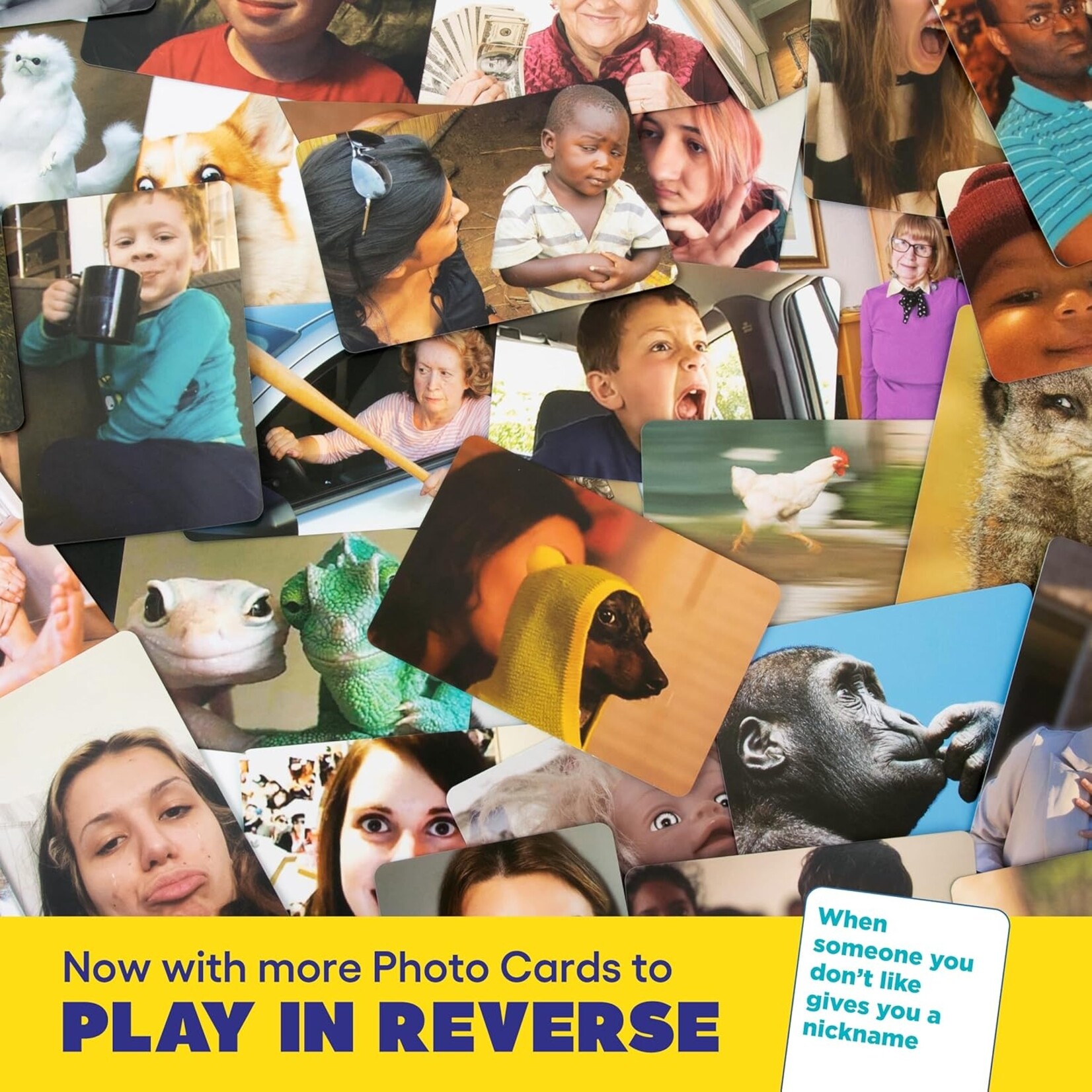 What Do You Meme What Do You Meme? Family Edition