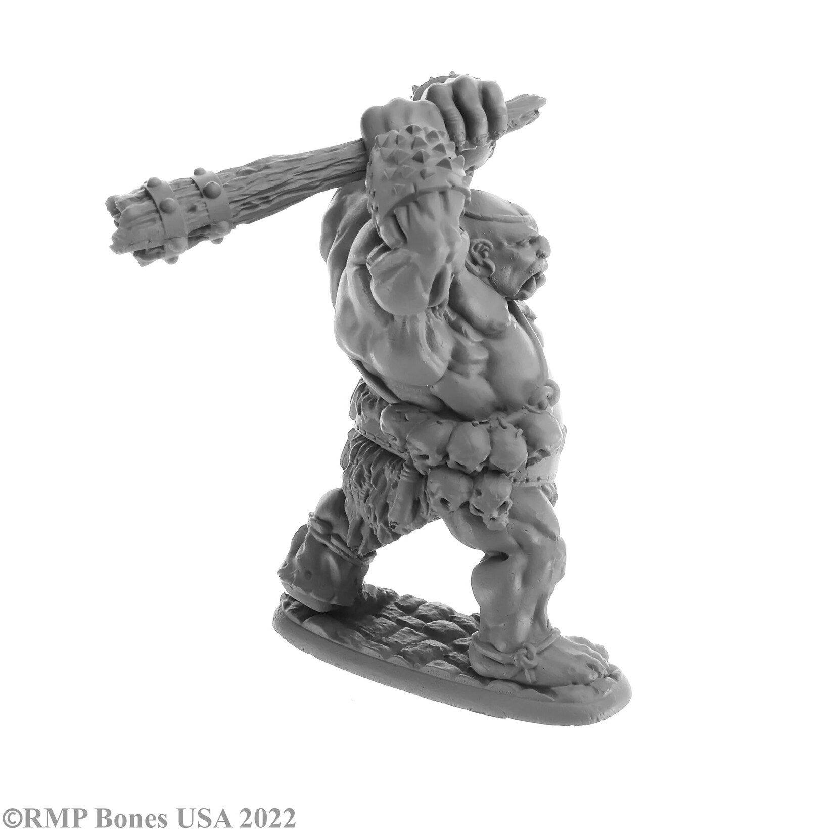 Reaper Minis 07061 Ogre Smasher