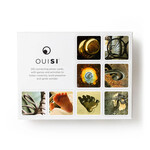Ouisi Inc. OuiSi Original: Games of Visual Connection