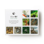 Ouisi Inc. OuiSi Nature: Games of Visual Connection