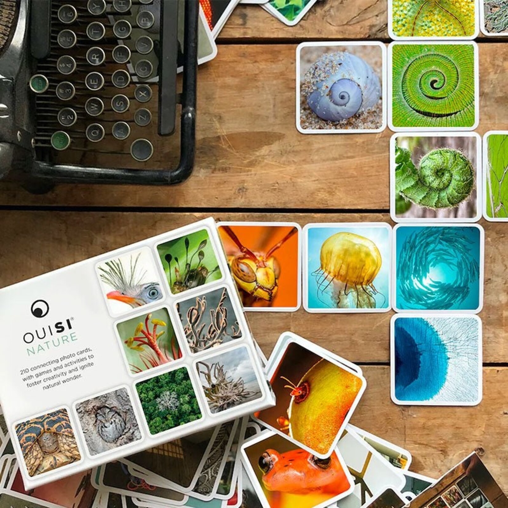 Ouisi Inc. OuiSi Nature: Games of Visual Connection