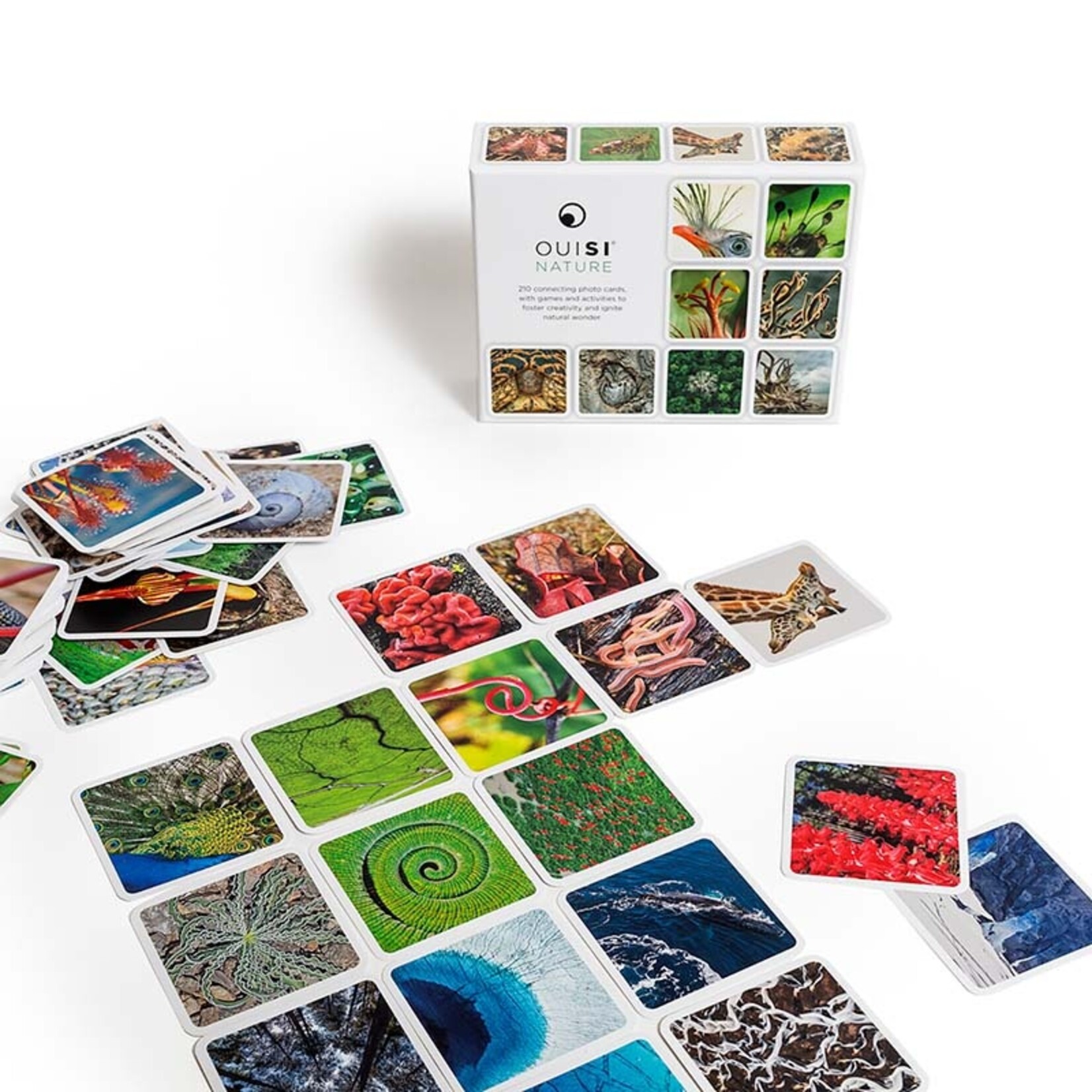 Ouisi Inc. OuiSi Nature: Games of Visual Connection