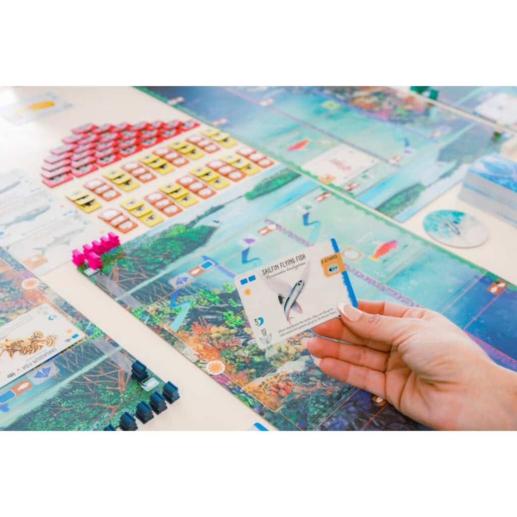 Stonemaier Games Finspan