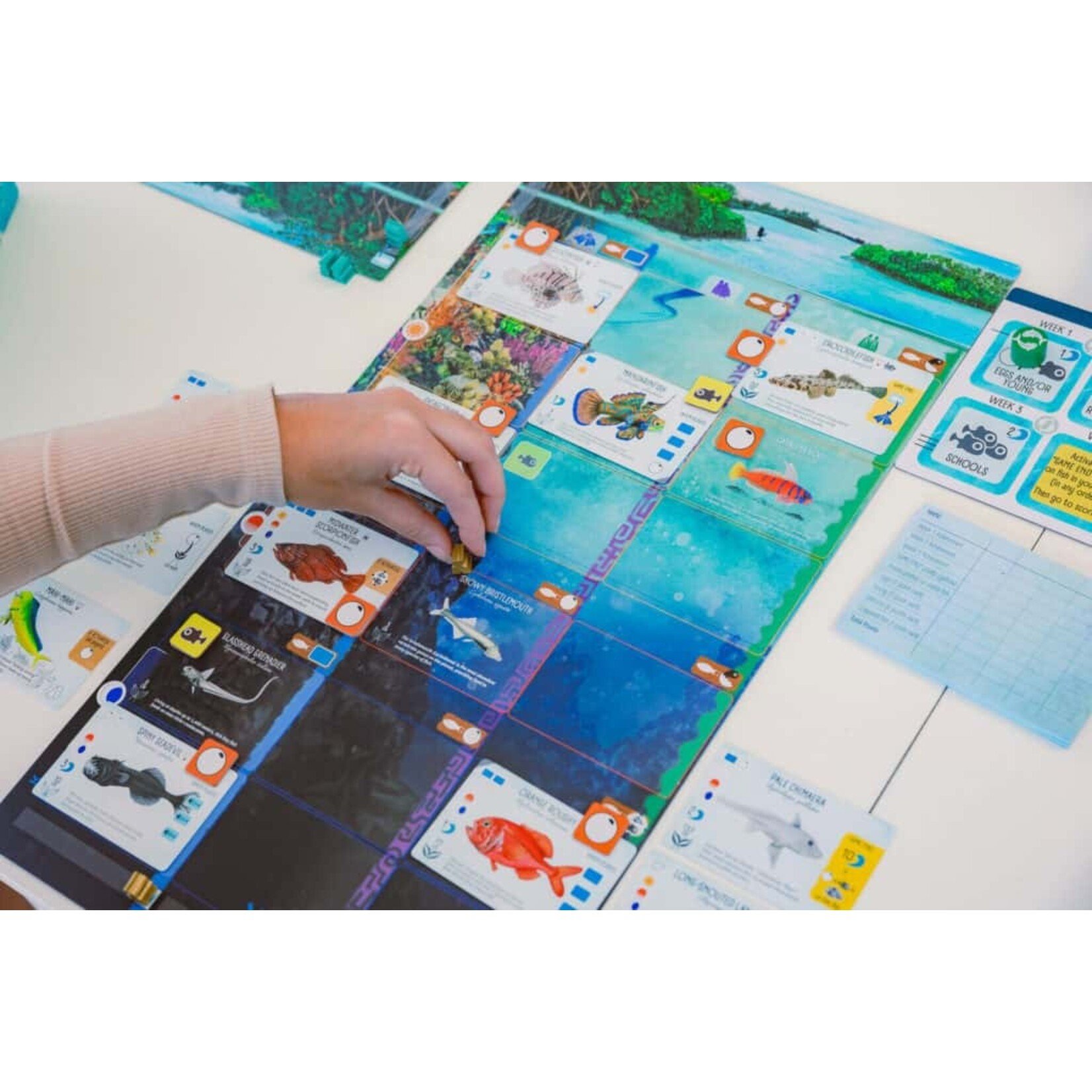 Stonemaier Games Finspan
