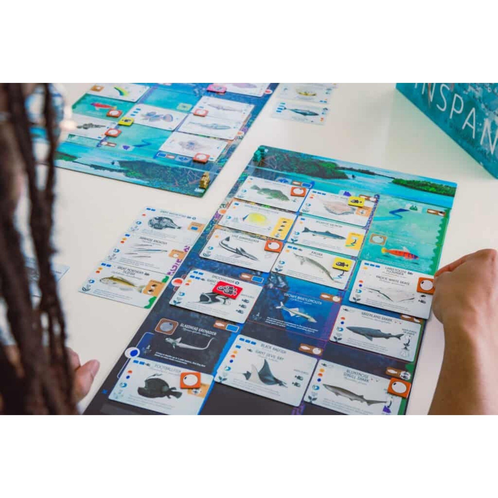 Stonemaier Games Finspan