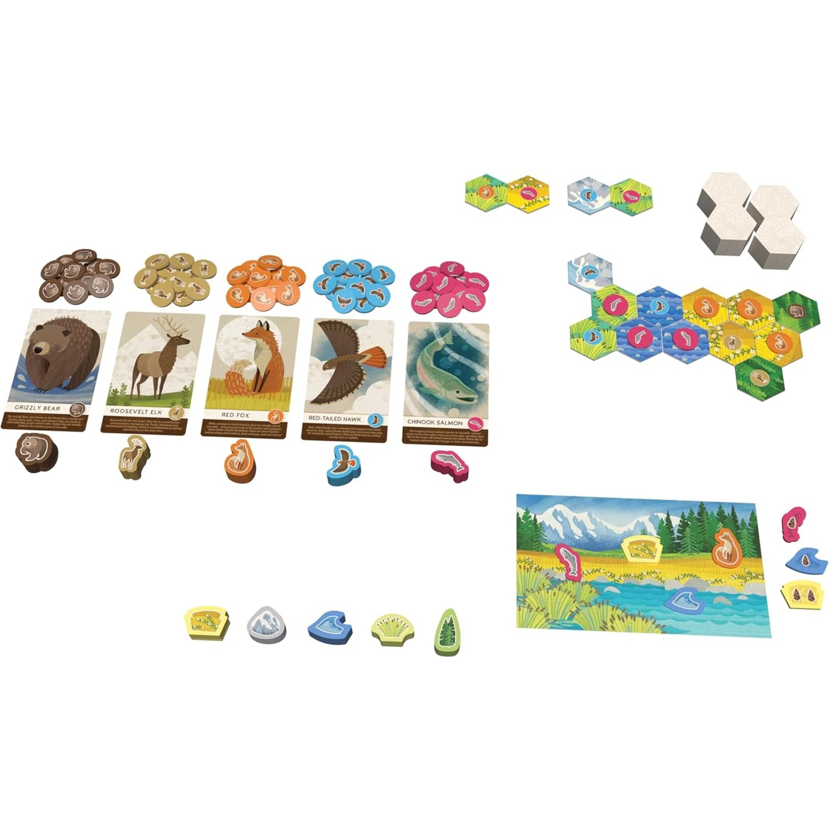 Alderac Entertainment Group (AEG) Cascadia junior