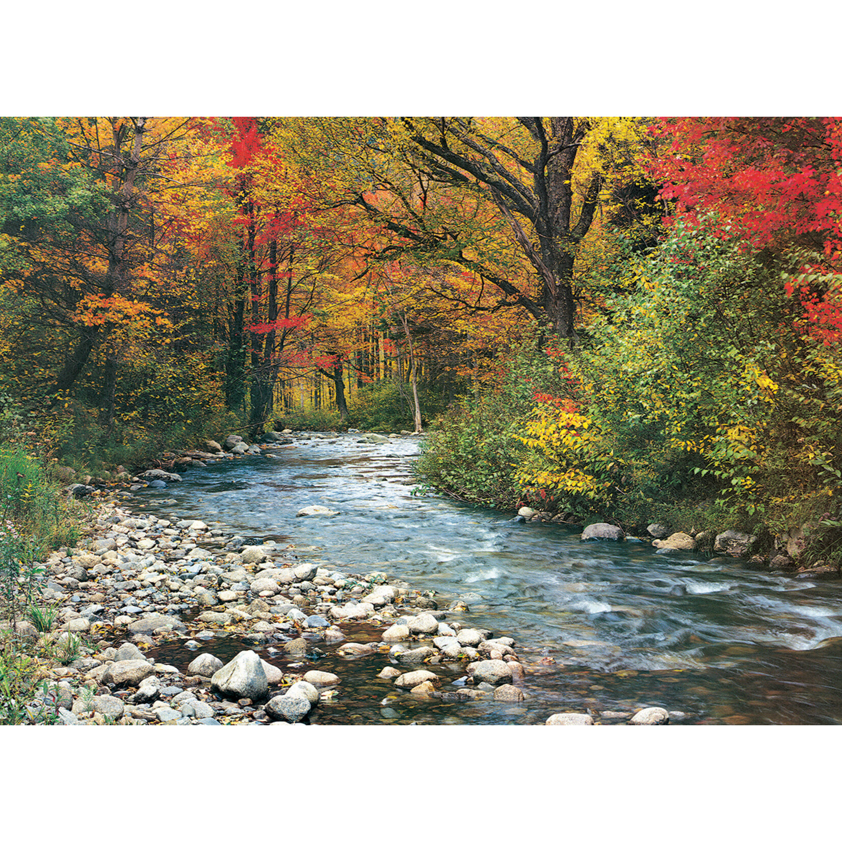 EuroGraphics Puzzles Forest Stream 1000pc