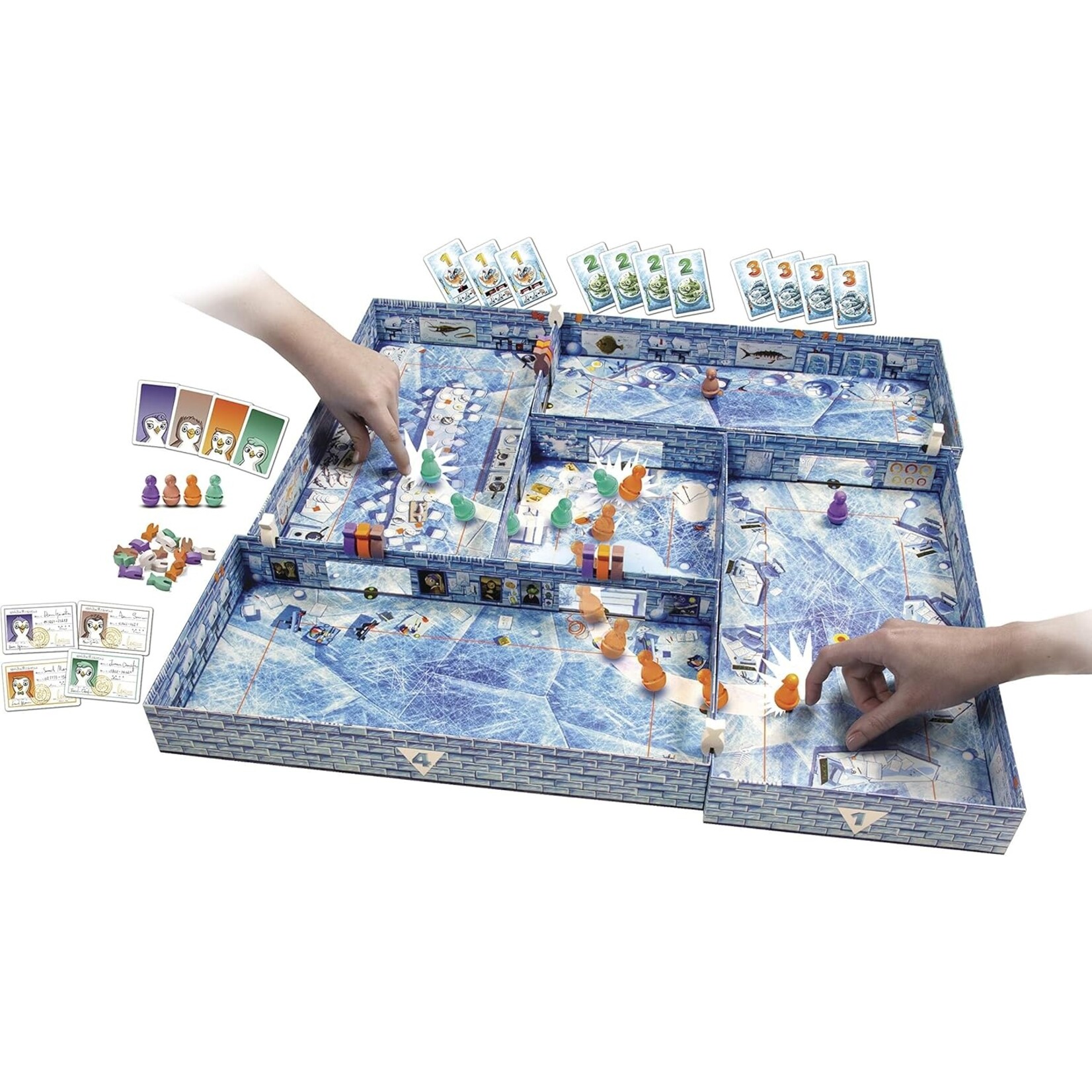 Brain Games ICECOOL 2