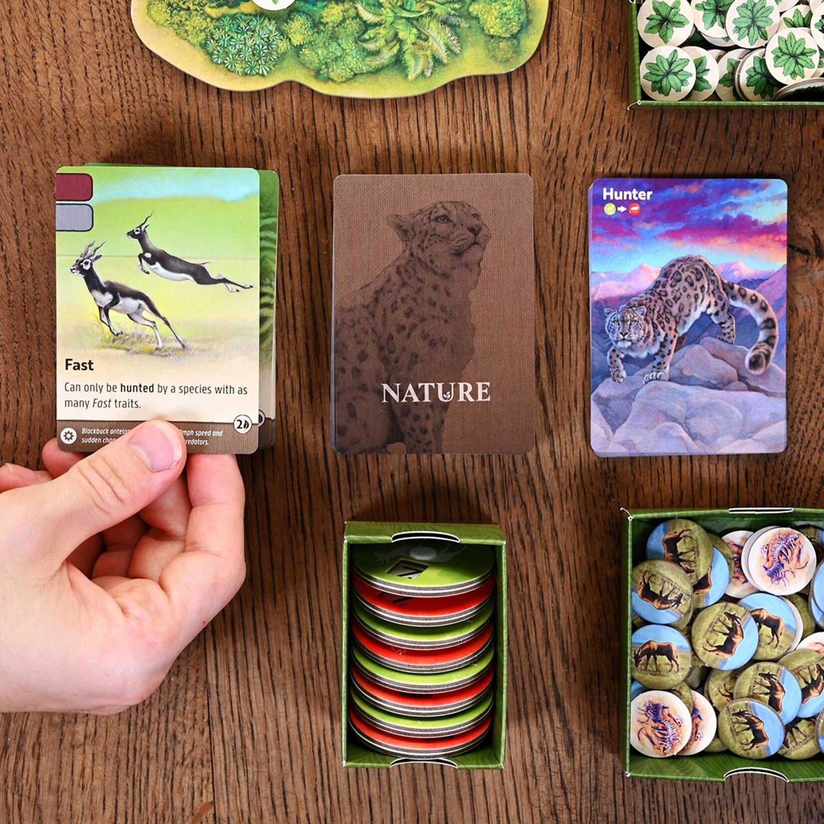 North Star Games Nature