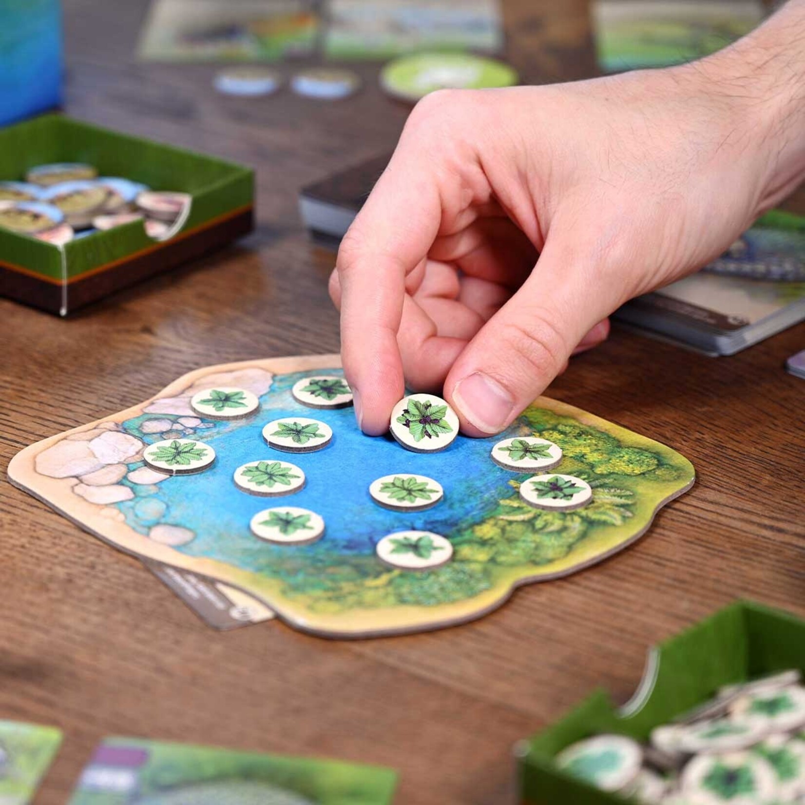 North Star Games Nature