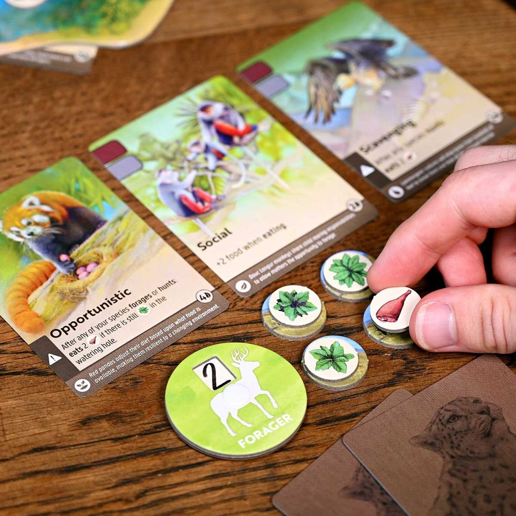 North Star Games Nature