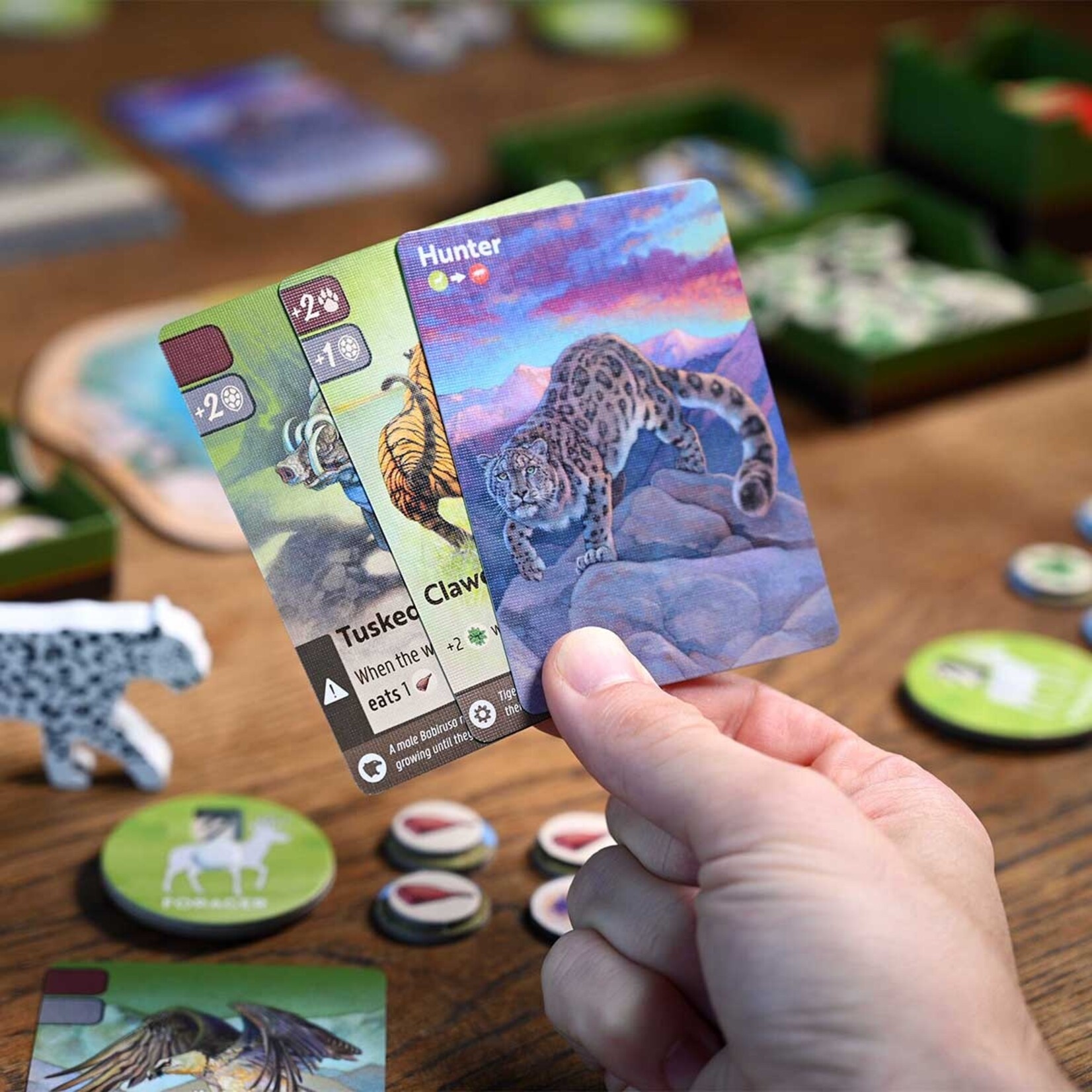 North Star Games Nature