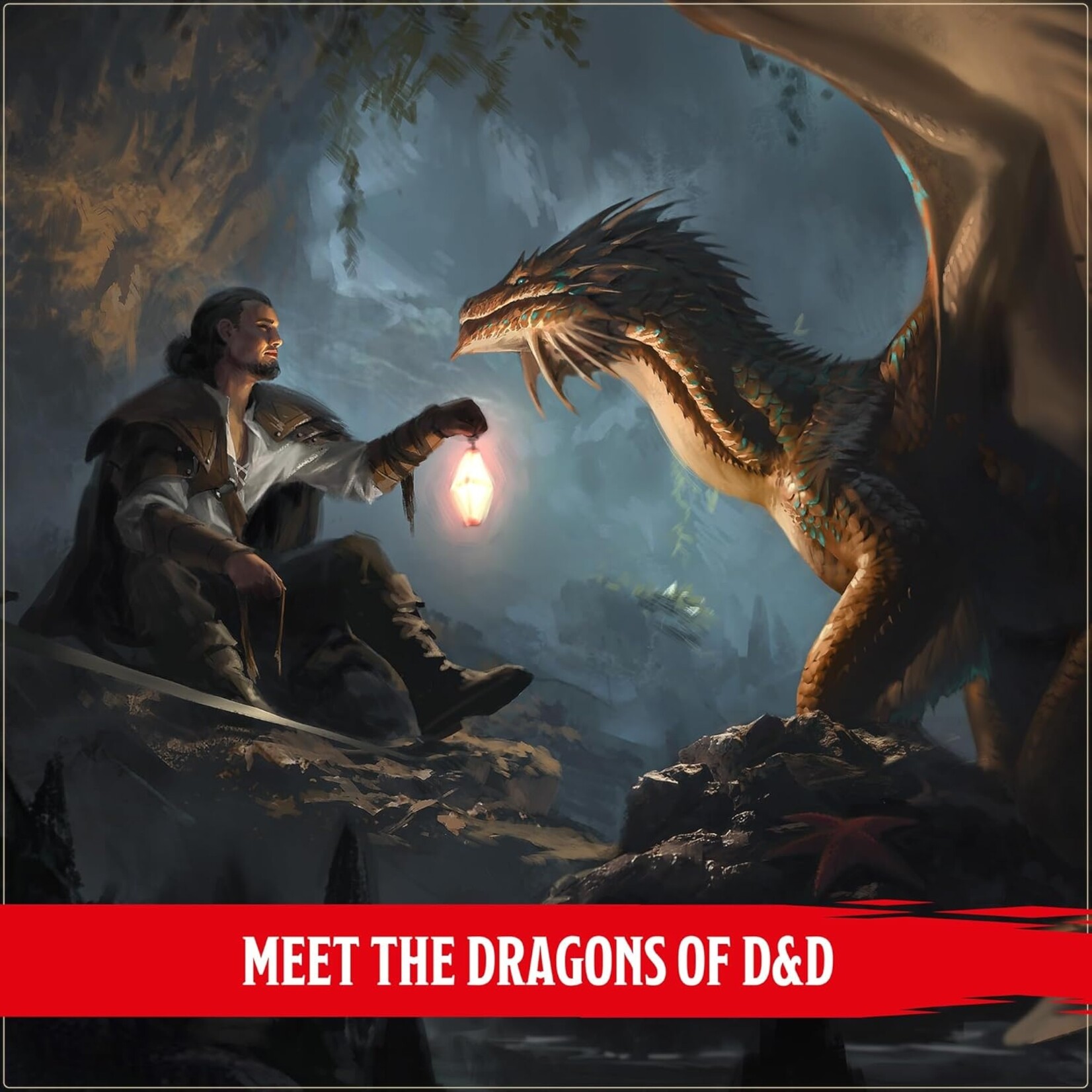 Wizards of the Coast D&D 5th Ed Dragon Delves Alternate Hard Cover