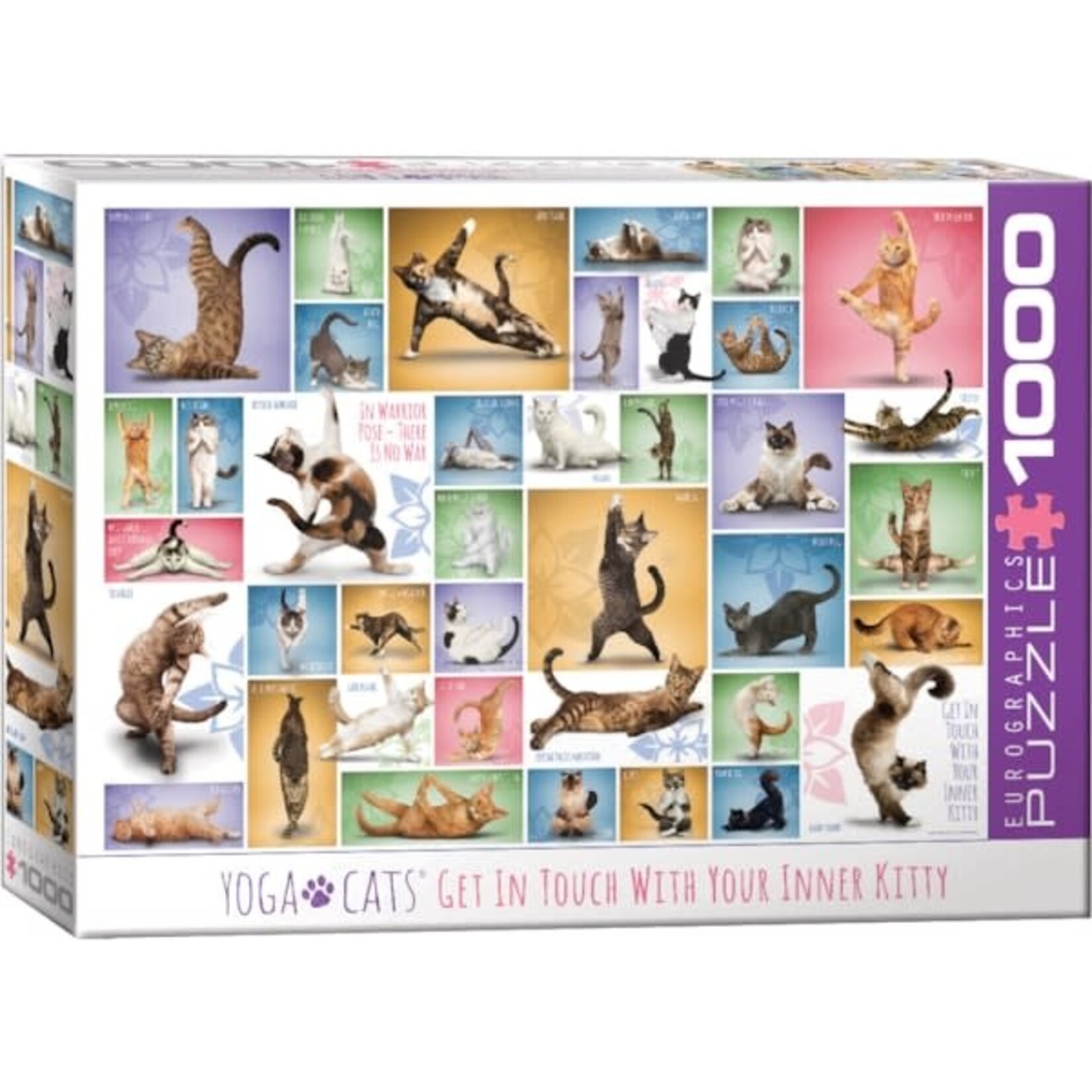 EuroGraphics Puzzles Yoga Cats 1000pc