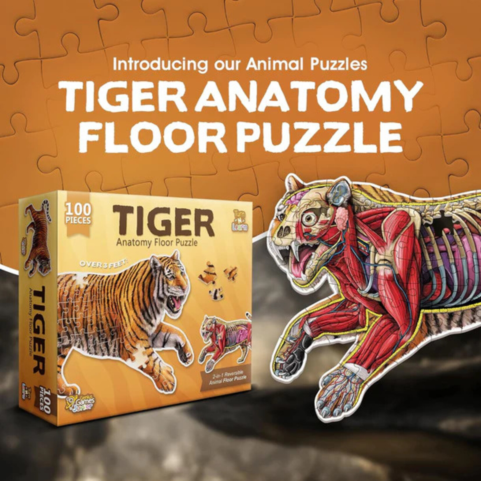 Genius Games Puzzle: Animal Anatomy: Floor Puzzle: Tiger 100pc