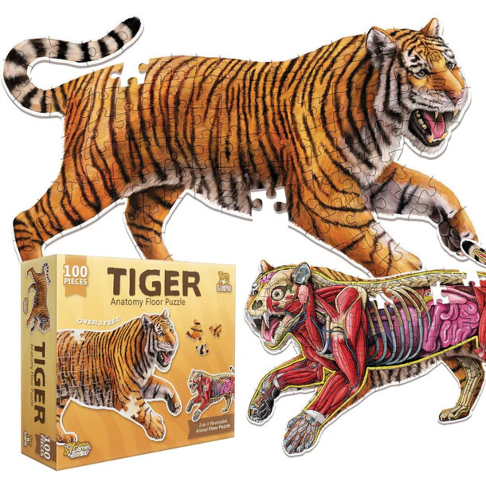 Genius Games Puzzle: Animal Anatomy: Floor Puzzle: Tiger 100pc