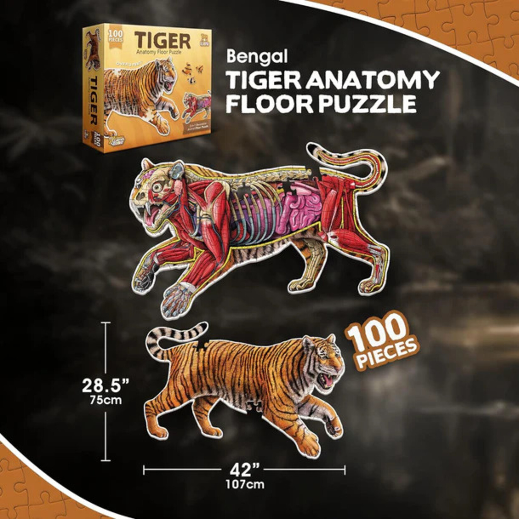 Genius Games Puzzle: Animal Anatomy: Floor Puzzle: Tiger 100pc