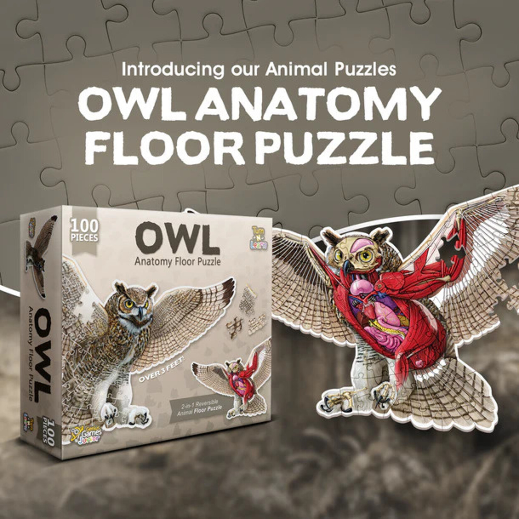 Genius Games Puzzle: Animal Anatomy: Floor Puzzle: Owl 100pc