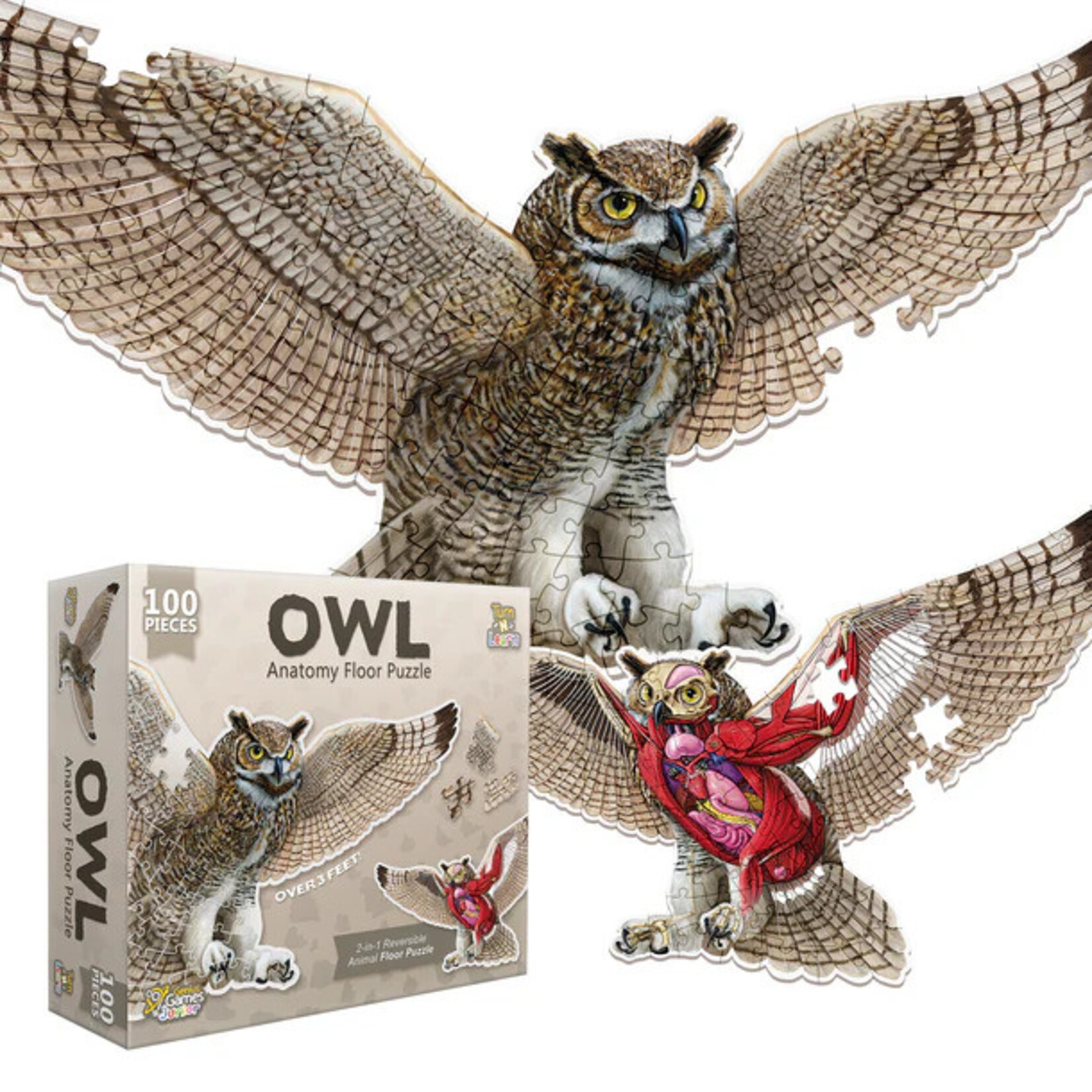 Genius Games Puzzle: Animal Anatomy: Floor Puzzle: Owl 100pc