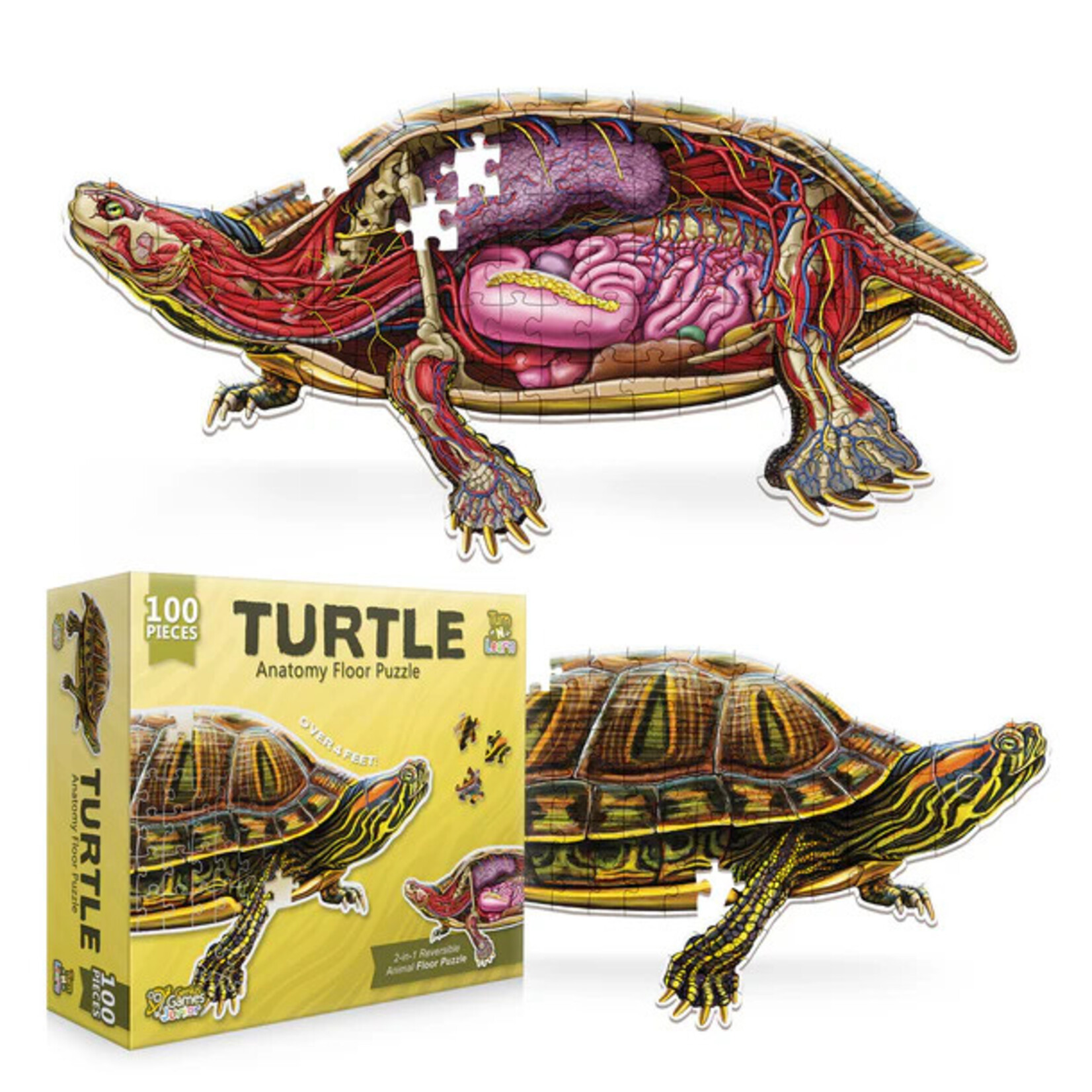 Genius Games Puzzle: Turn N Learn: Turtle 100pc