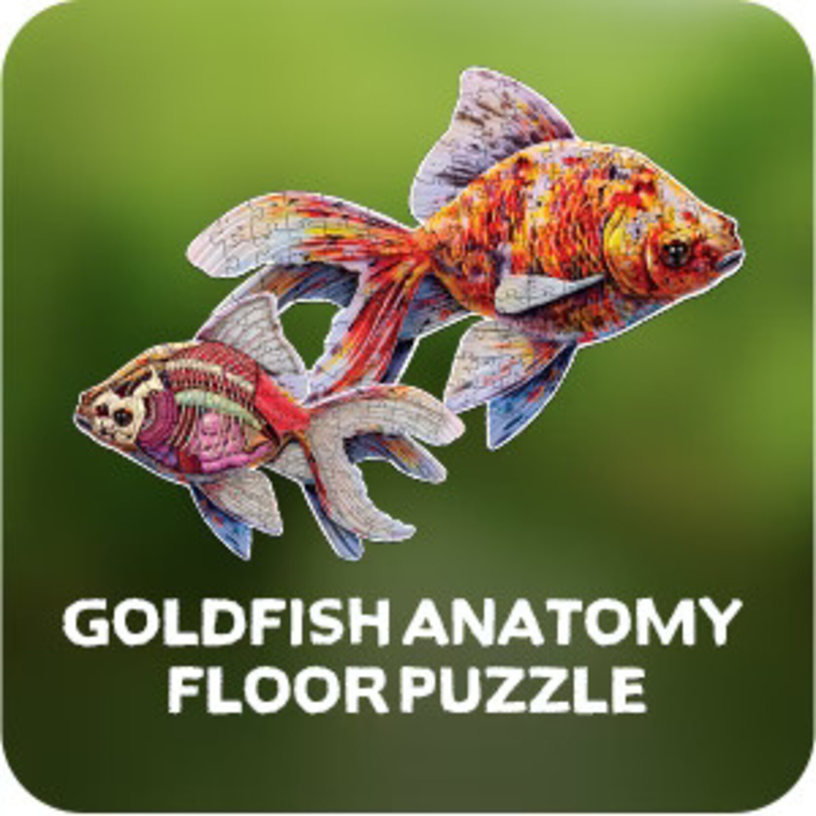Genius Games Puzzle: Turn N Learn: Goldfish 100pc