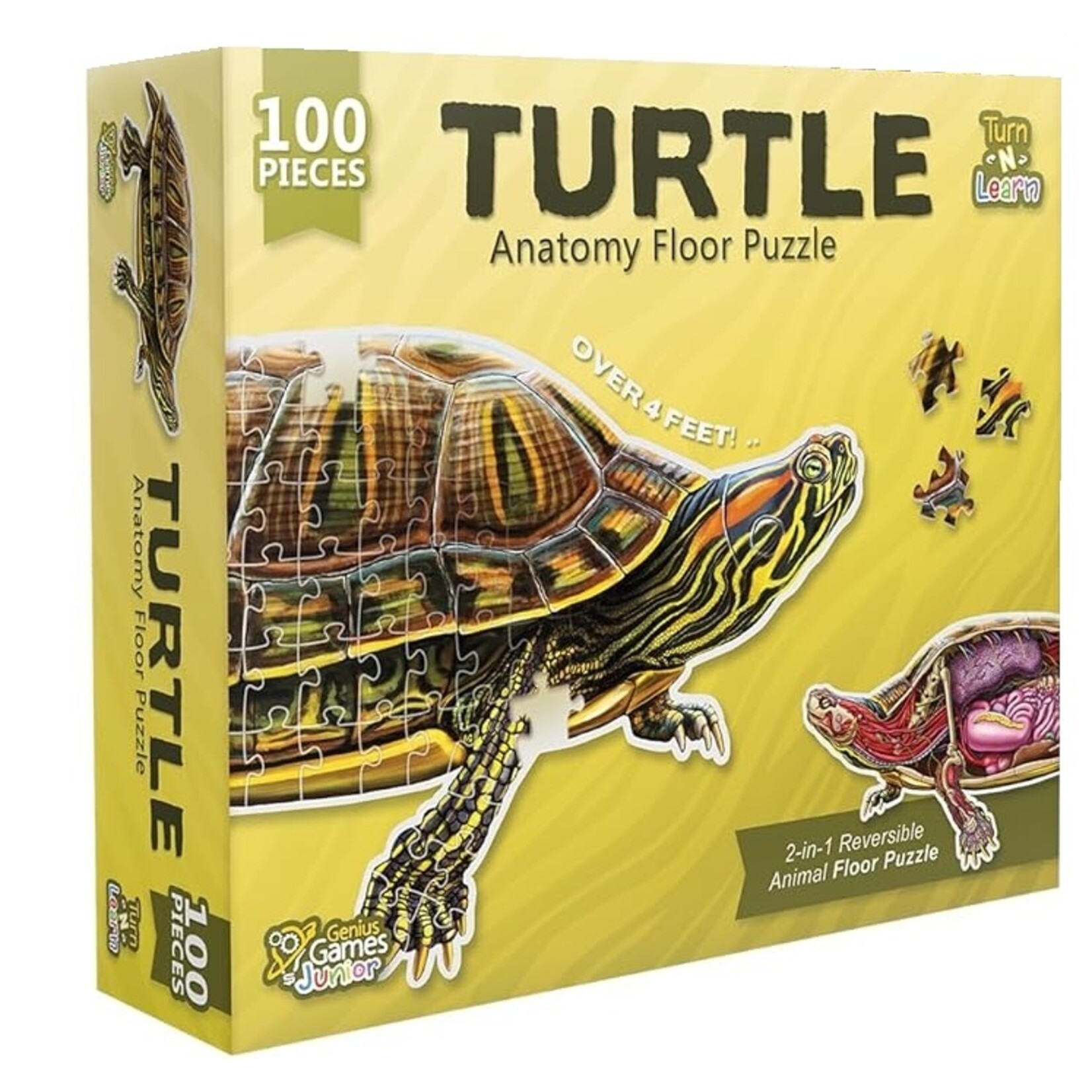 Genius Games Puzzle: Turn N Learn: Turtle 100pc