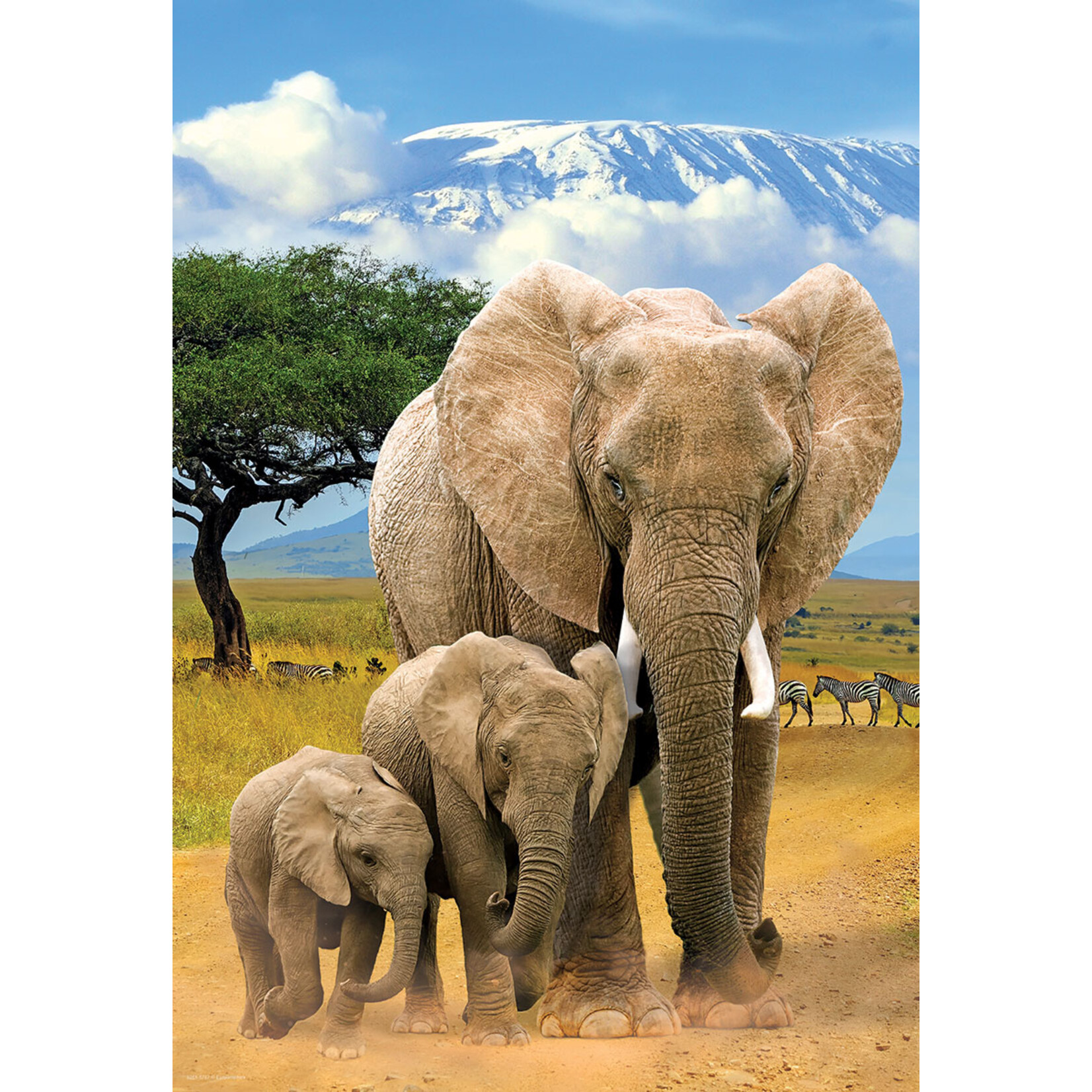EuroGraphics Puzzles Elephants 250pc