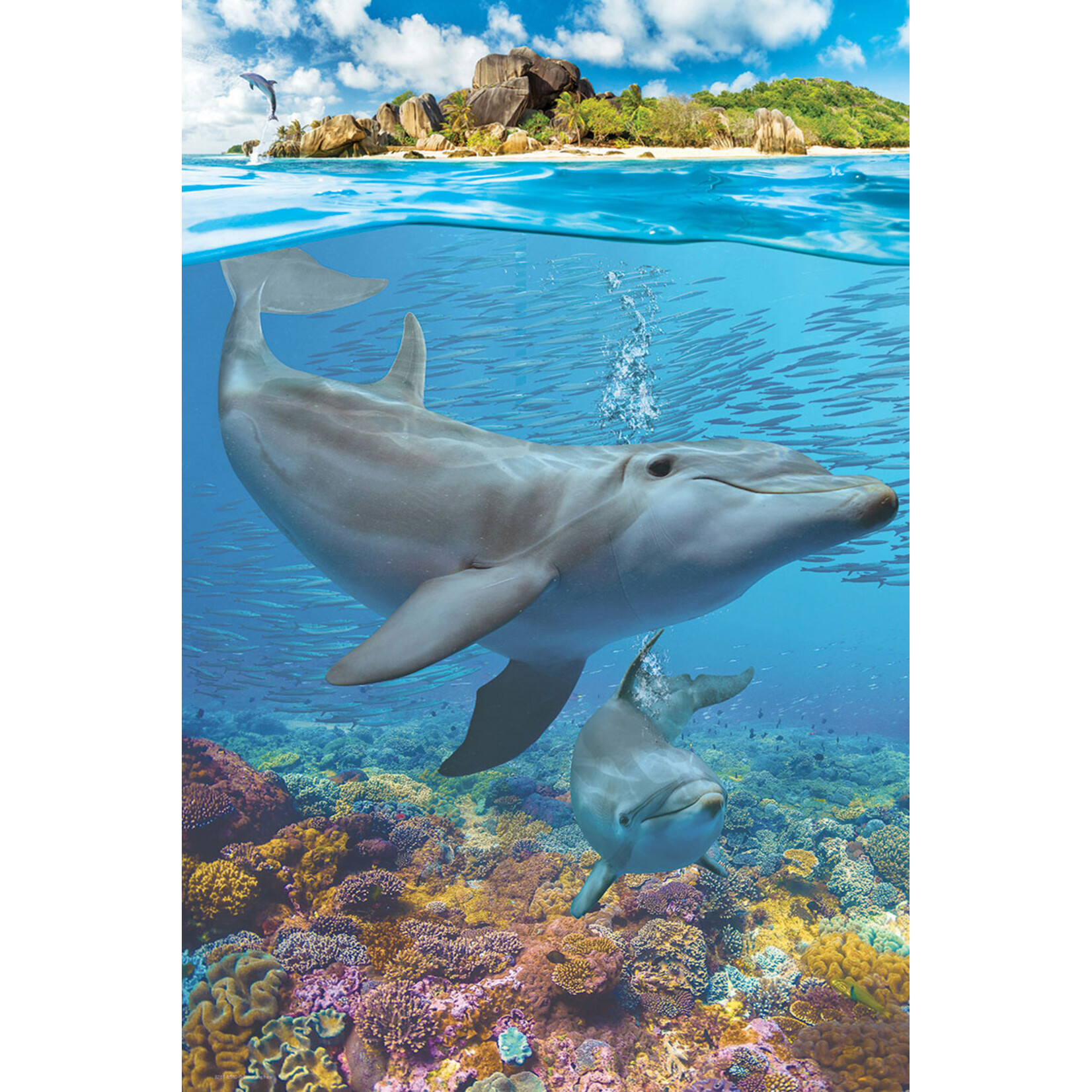 EuroGraphics Puzzles Dolphins 250pc