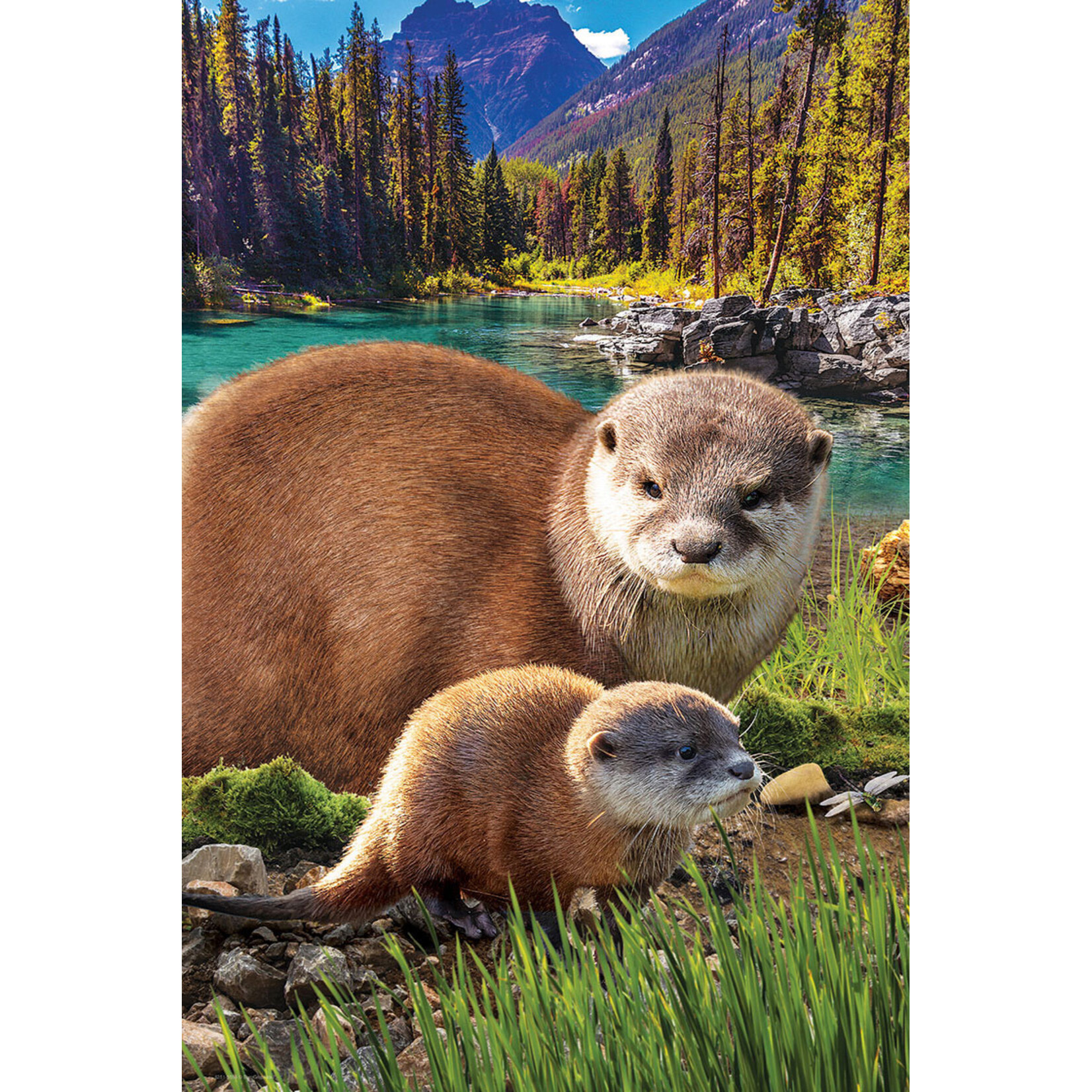 EuroGraphics Puzzles Otters 250pc