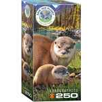 EuroGraphics Puzzles Otters 250pc