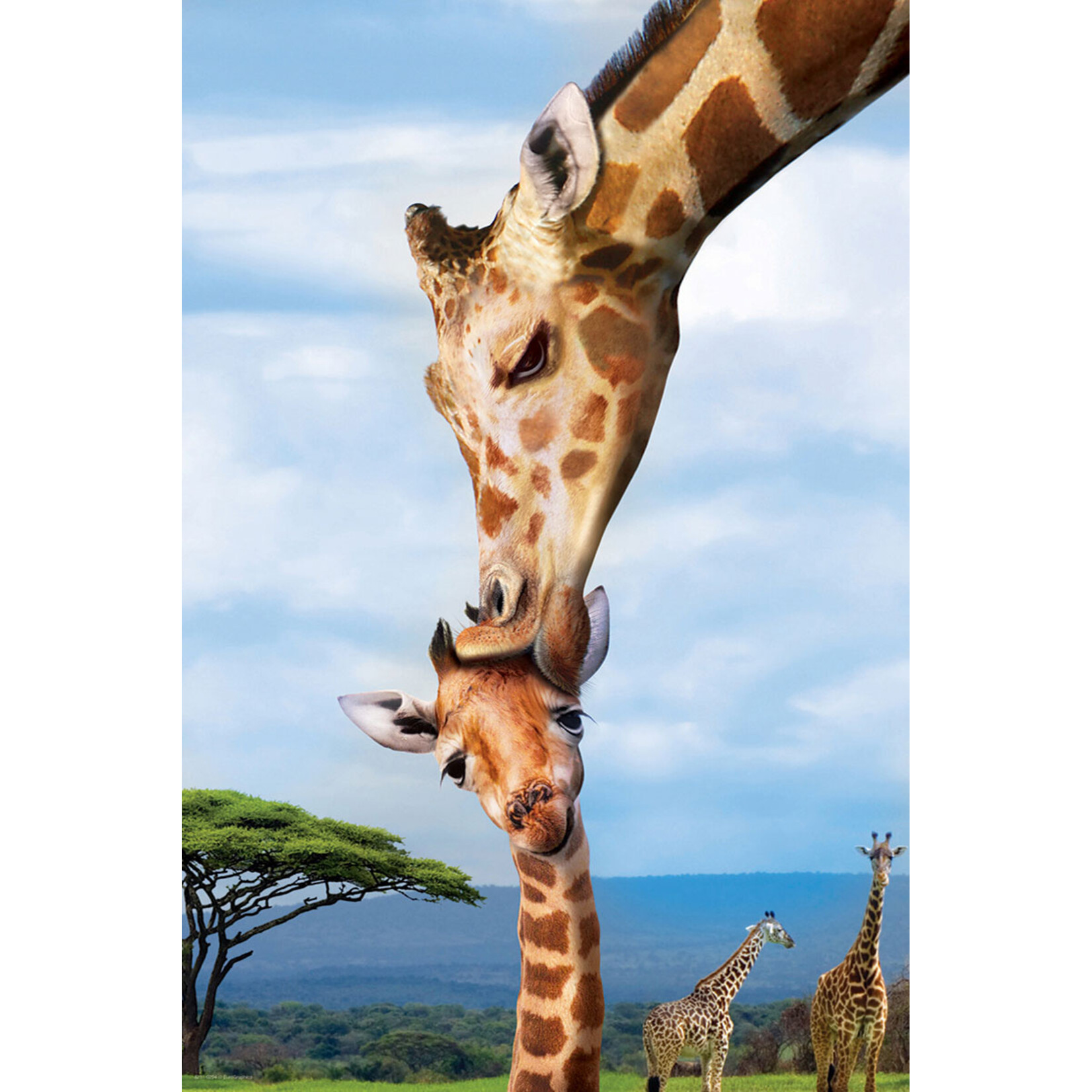 EuroGraphics Puzzles Giraffes 250pc