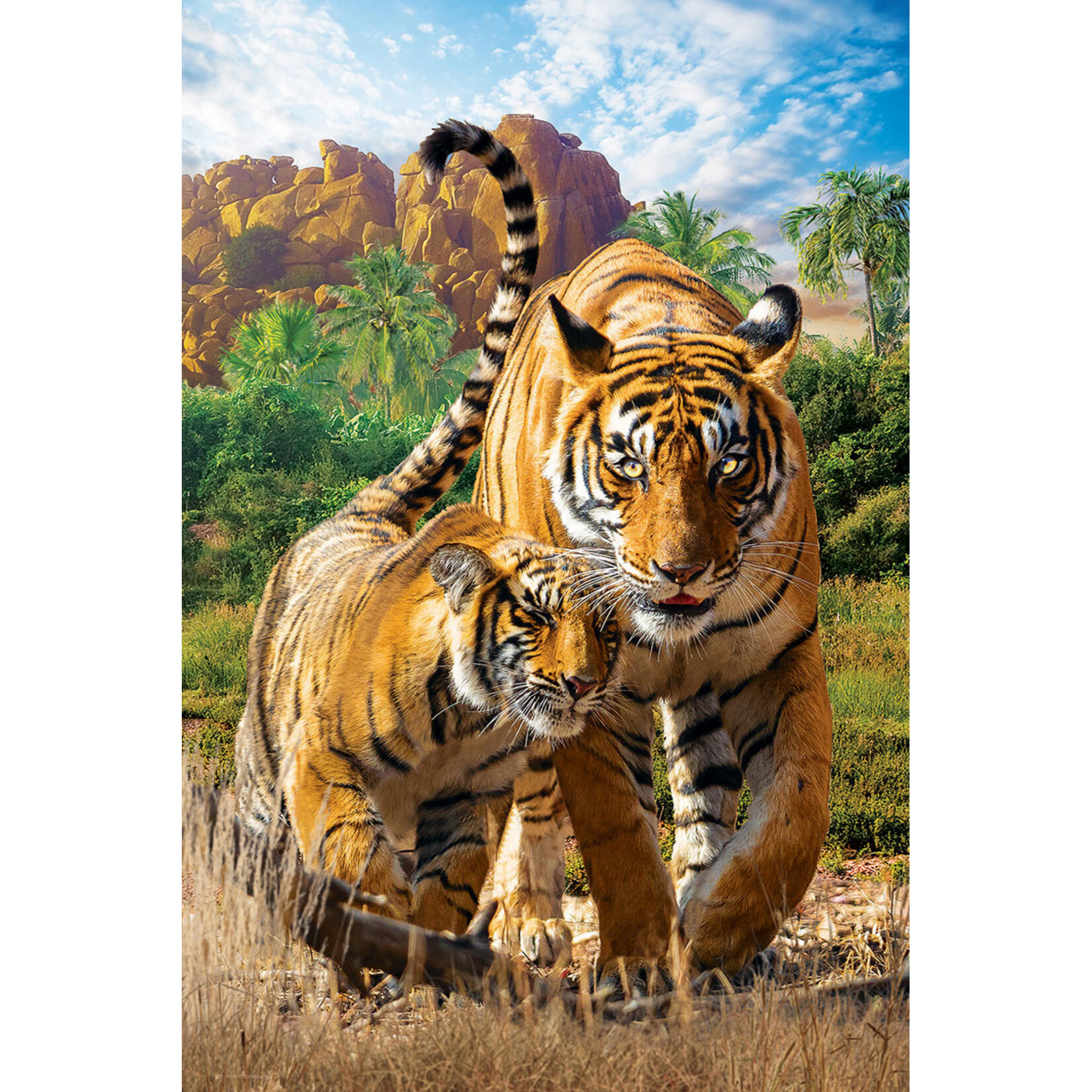 EuroGraphics Puzzles Tigers 250pc