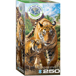 EuroGraphics Puzzles Tigers 250pc