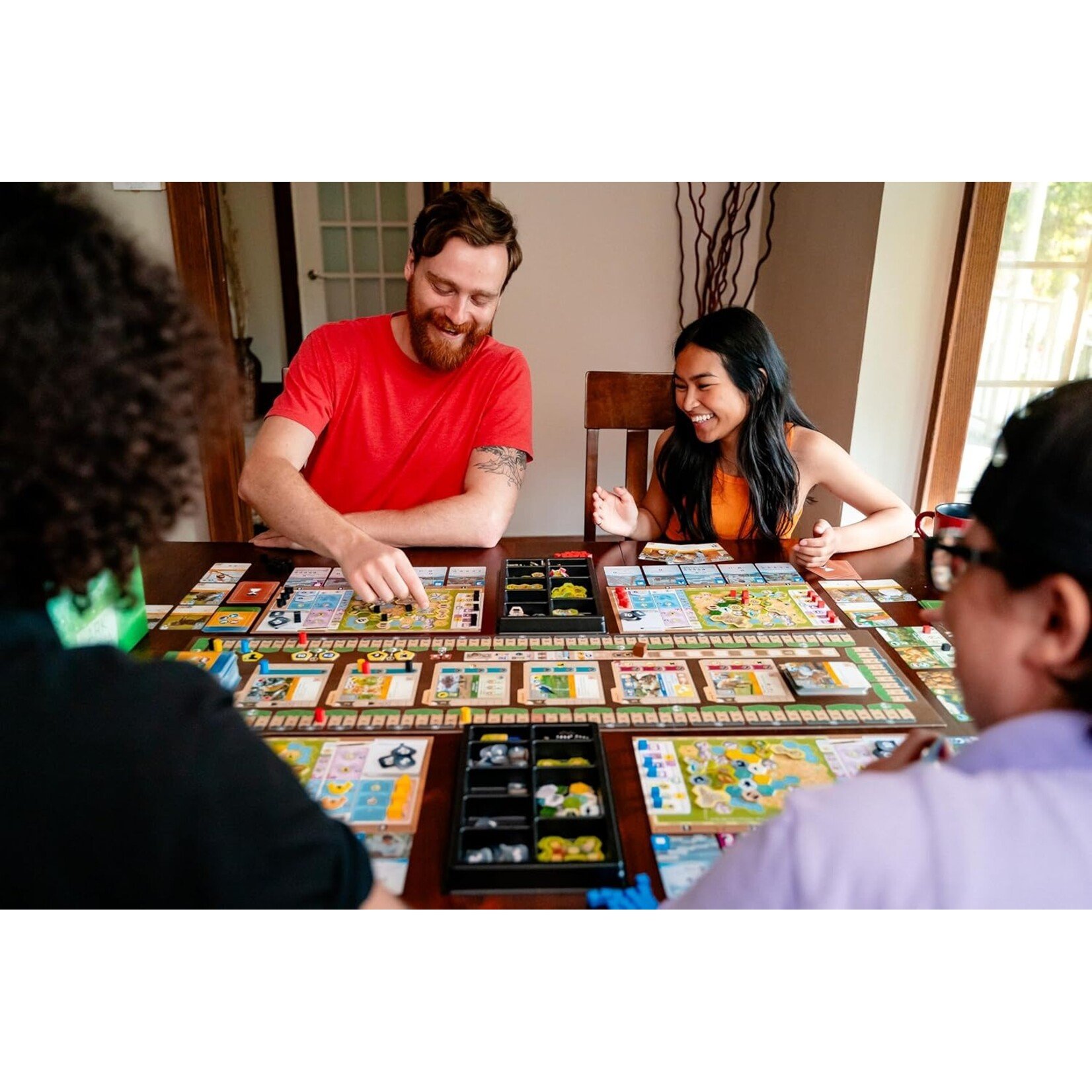 Capstone Games Ark Nova: Zoo Map Pack 2 Expansion