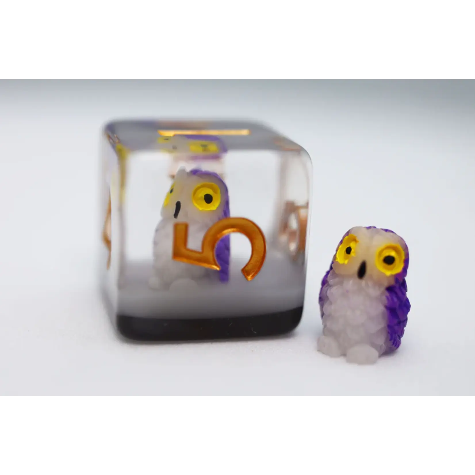 Foam Brain Games Wise Owl 7-Set