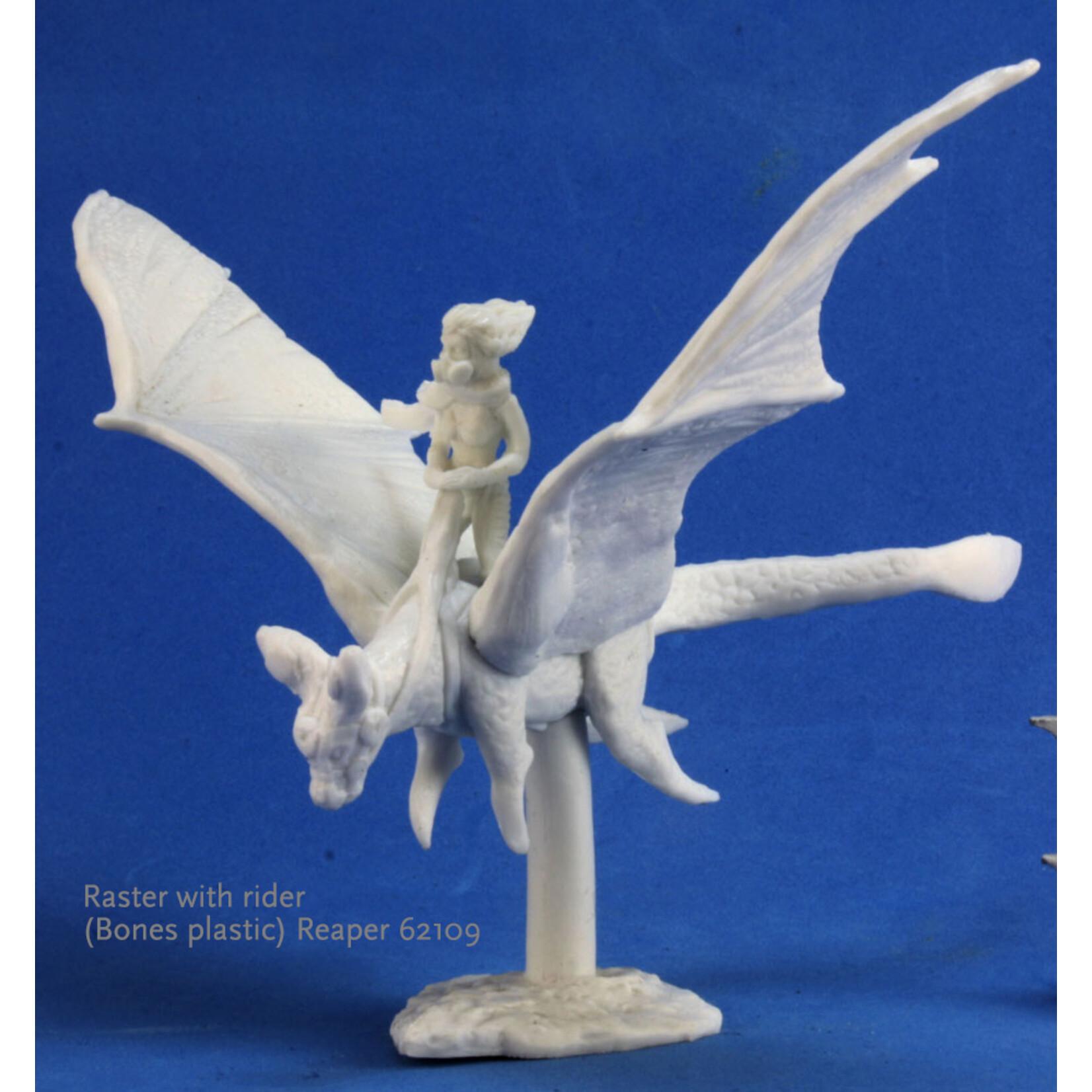 Reaper Minis 62109 Bones: Numenera: Raster