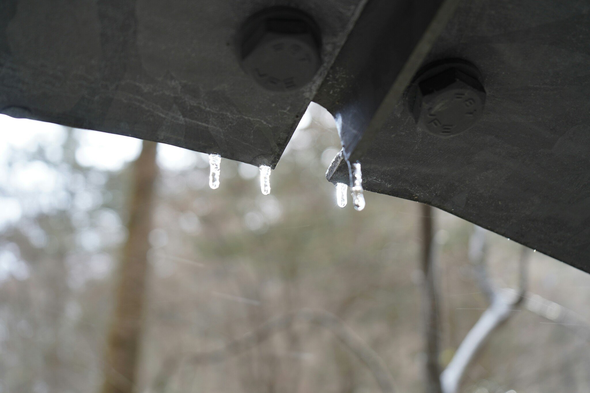 Greenfield Games January 2026 Even Schedule!