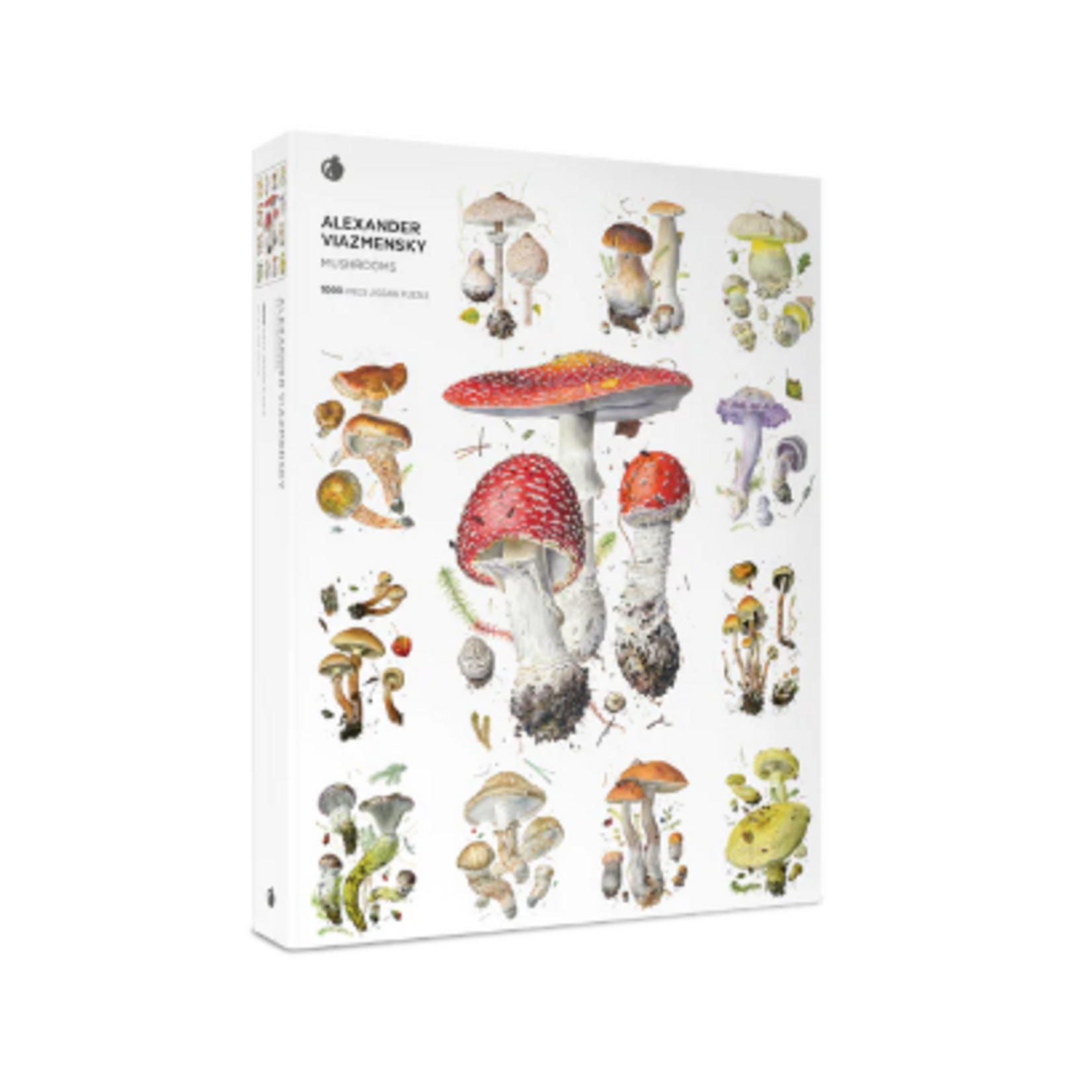Mushrooms: Alexander Viazmensky 1000pc