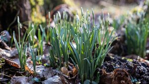 Greenfield Games March 2026 Event Schedule!